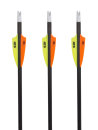 Gold-Tip Warrior mit X Vanes 2,25"